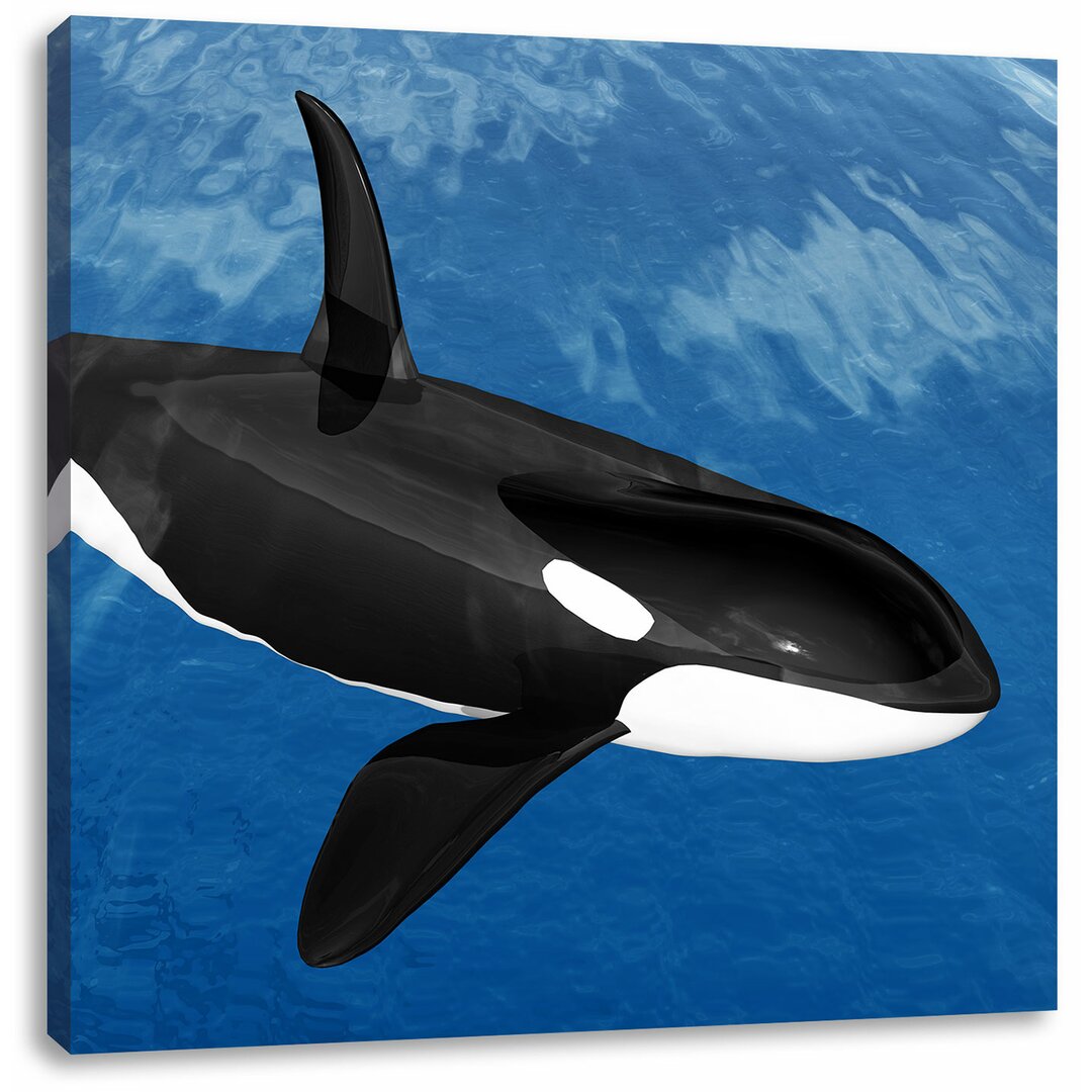 Leinwandbild Schöner Orca im Meer