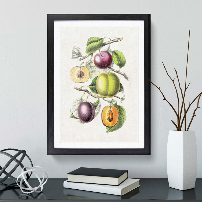 Illustration of Prunes - Picture Frame Graphic Art Print, Black Framed, 48cm H x 36cm W x 2cm D