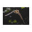 No Frame Print on Canvas-348800853