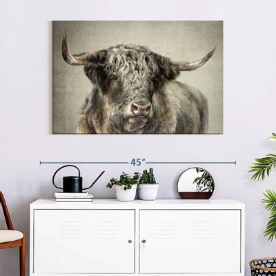 Grand Kyloe Bull