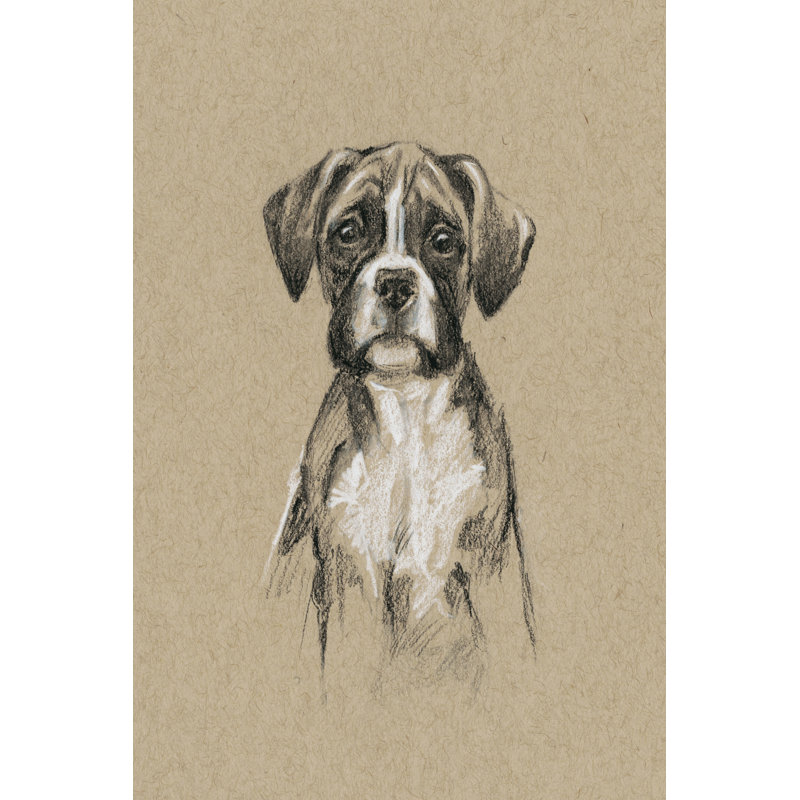 Breed Sketches V by Ethan Harper - Painting Print, 30cm H x 20cm W, Wrapped Canvas