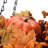 18in. Harvest Hanging Basket