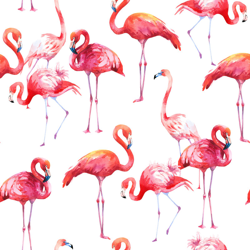 Tabitha Flamingo - Wrapped Canvas Print, 122cm H x 122cm W x 3.8cm D
