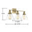 Catalina 3 Light Transparent Dimmable Vanity Light-1001676315