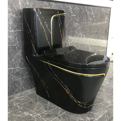 Dual-Flush Elongated One-Piece Black Toilet (Seat Included)