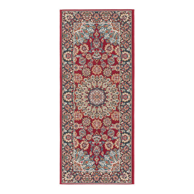Indoor/Outdoor Traditional Area Rug