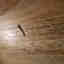 Customer photo 3 of 6