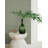 Paloma Texture Wallpaper-1127791824