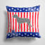 Coussin intérieur / extérieur Patriotic-1941841627-1993793303