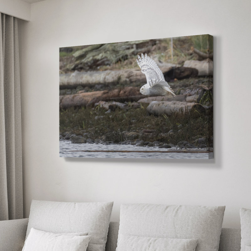 Solo Flight -Gallery Wrapped Cavas, 12" H x 18" W