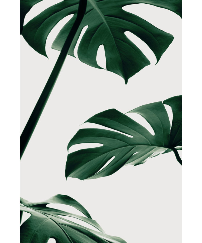 Wrapped Canvas Print, 91.44cm H x 60.96cm W