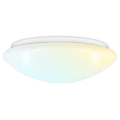 Daleena LED Flush Mount