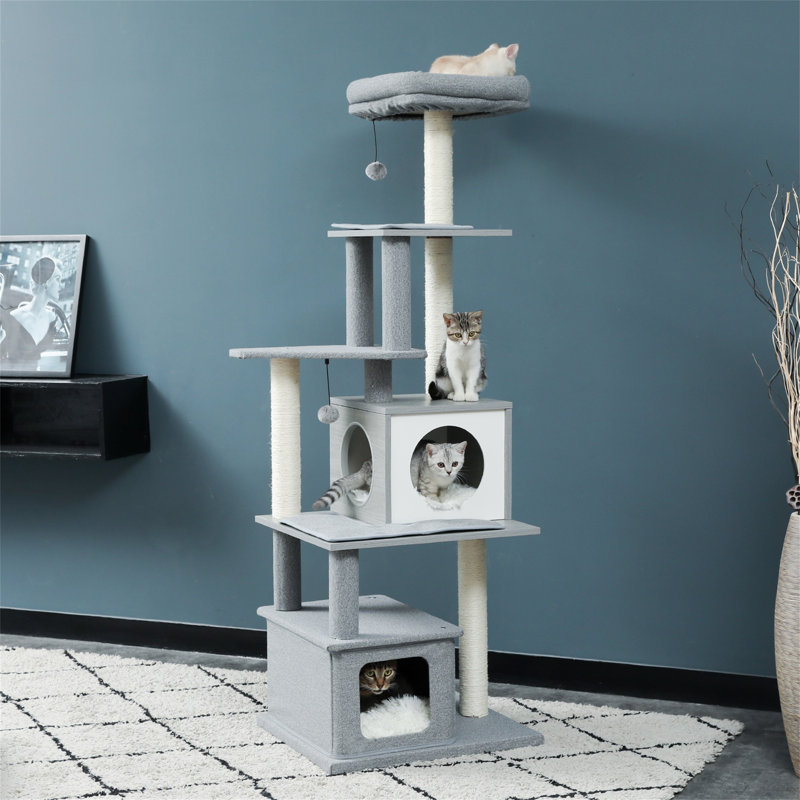 Depuy 61.8'' H Cat Tree