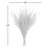 All Natural Stoebe Bundle, Preserved 14"-18" Stoebe Bundle, Preserved-629174503