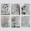 Abstrait, art floral botanique gris rustique, affiche encadrée, art mural-104788235-104788239