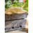 Union Rustic Solid Wood Decorative Bin-1988787653