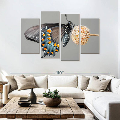 Brampt Black Swallowtail Butterfly