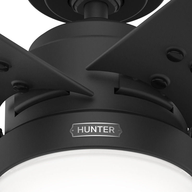 Ventilateur de plafond standard 52 pouces à 5 pales avec lumières et chaînes à tirer, Noir mat