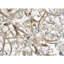 Myria 3-light 15.8'' Crystal Semi Flush Mount-1036357965