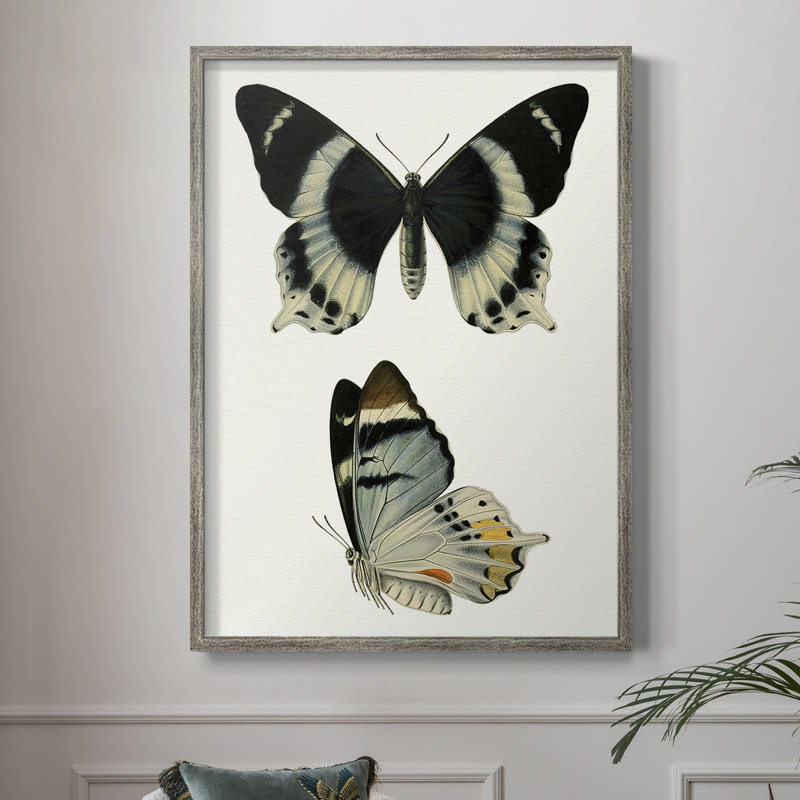 «Antique Blue Butterflies I», reproduction encadrée - bois massif, H 11 po x l 9 po
