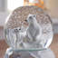 Christmas Snow Globe