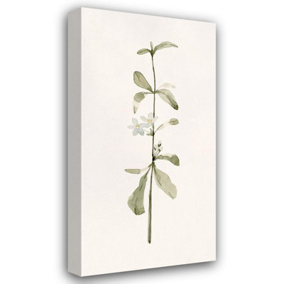 Astoria Grand Caroline, Emma Gallery Wrapped Canvas Art Titled: Early Blooms I