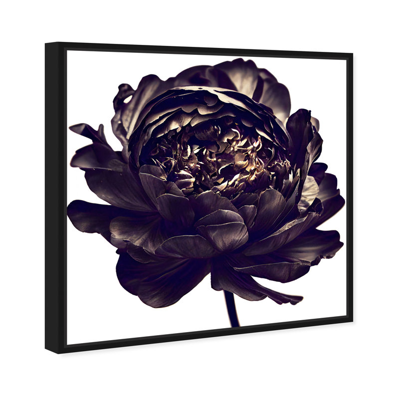 Pivoine noire - Impression sur toile, Cadre noir, H 17 po x l 17 po