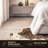 Houchin Performance Cowhide Animal Print Indoor Rug