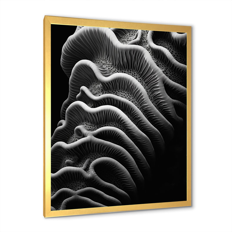 «Black and White Coral Mystic Abyss», reproduction sur toile, H 20 po x l 12 po x P 1 po, Cadre doré simple