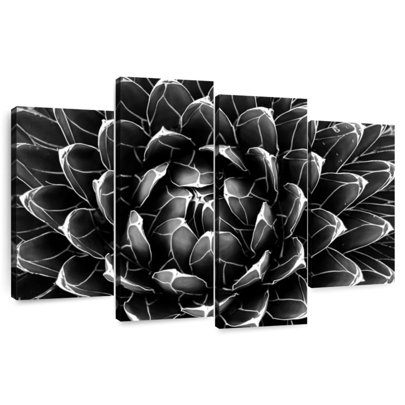 Harnek Monochrome Royal Agave
