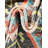 Kora Kingery Rug-608088911