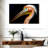 Peach Pelican Profile-107924874