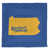 Blue/Gold