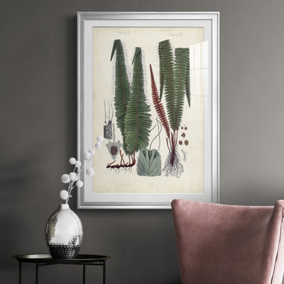 Collection Ferns V - reproduction de cadre photo