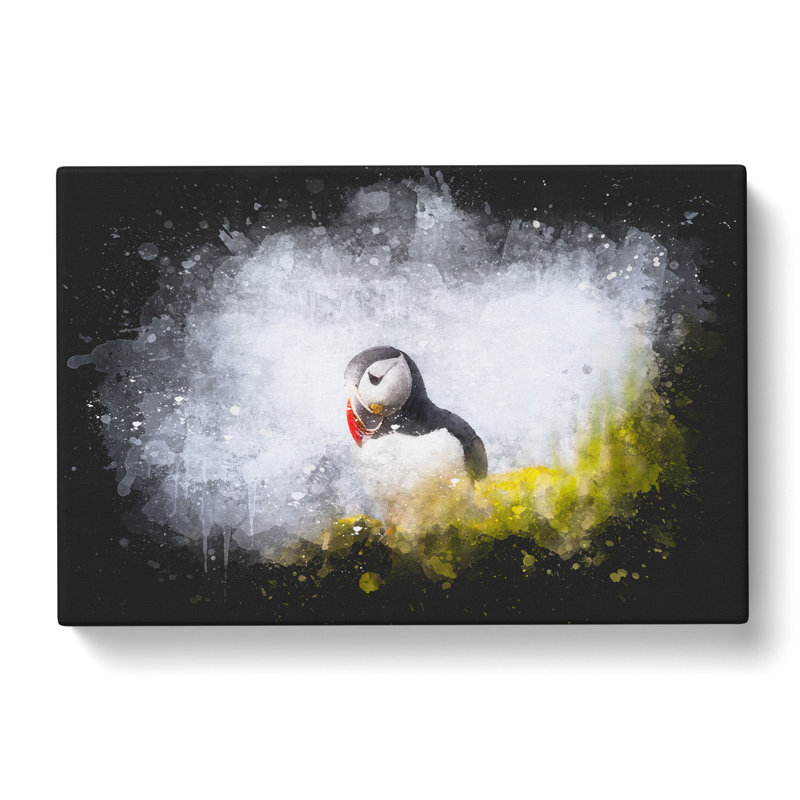 Lone Atlantic Puffin - Wrapped Canvas Print, 35cm H x 50cm W x 3cm D