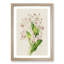 Illustration of Pink Dendrobium Orchids - Picture Frame Painting Print-55579734-55579735