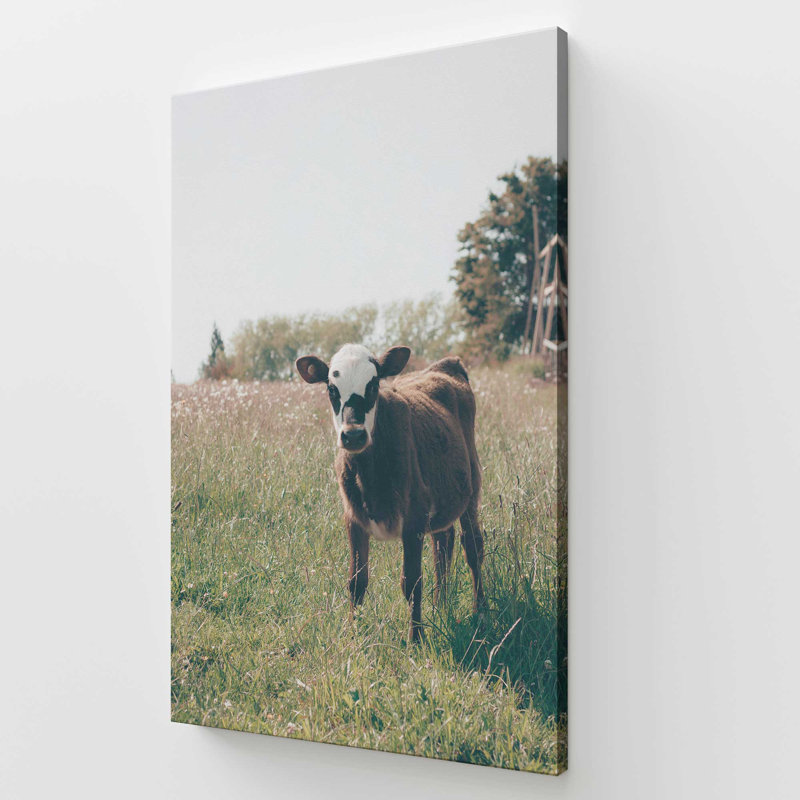 «The Little Brown Wonder», grande impression sur toile, H 60 po x l 40 po