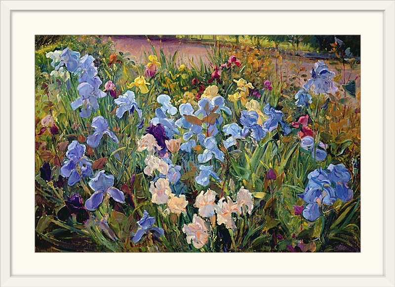 «Sharples The Iris Bed» par Timothy Easton, reproduction d'art, H 20 po x l 26 po x P 1 po, Cadre blanc