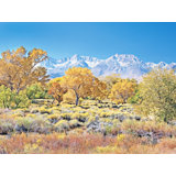 Autumn Pasture And Sierra Nevada Mts. Painting by Bruce Heinemann