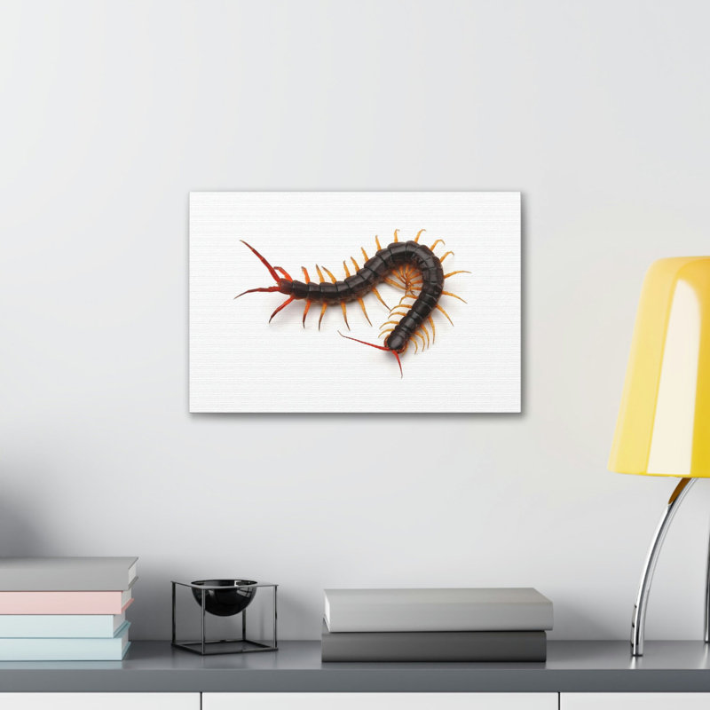 «Centipede Chasse», art mural, H 11 po x l 14 po