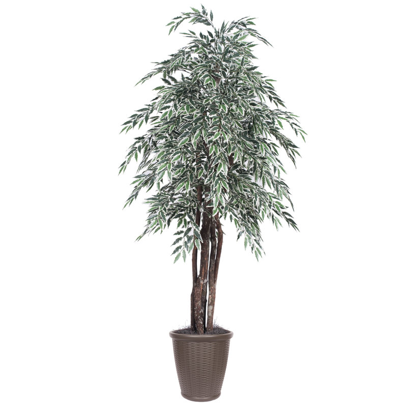 72'' Faux Tree in Pot, Brown