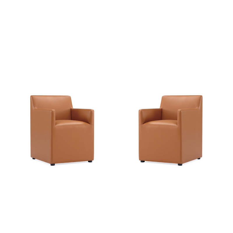 Dirk Arm Chair, 2, Saddle