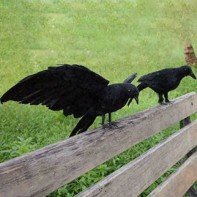 2pcs Halloween Crow Prop Large Realistic Raven Feathered Spooky Party Home Decor