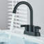 Centerset 2-handle Bathroom Faucet with Drain Assembly