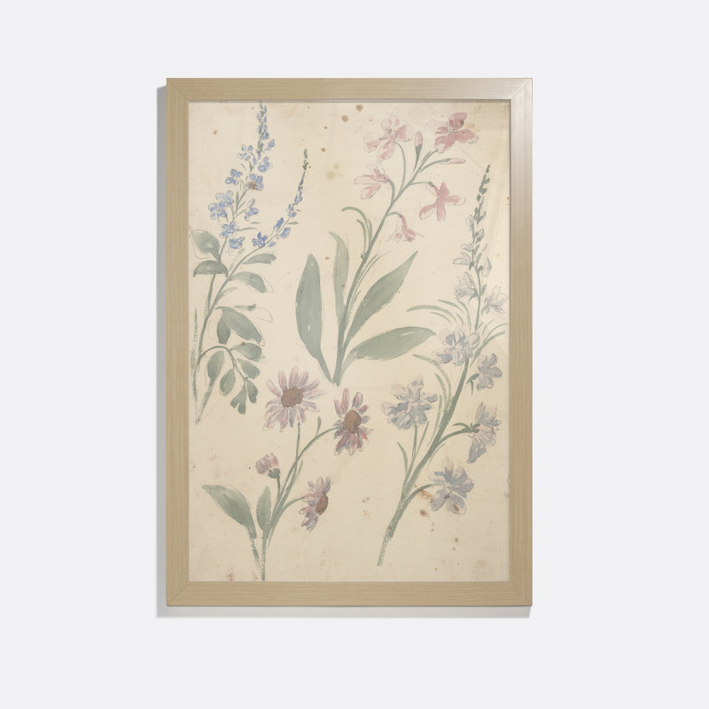 Four Studies Of Pink And Blue Flowers Print by Elias Van Nijmegen