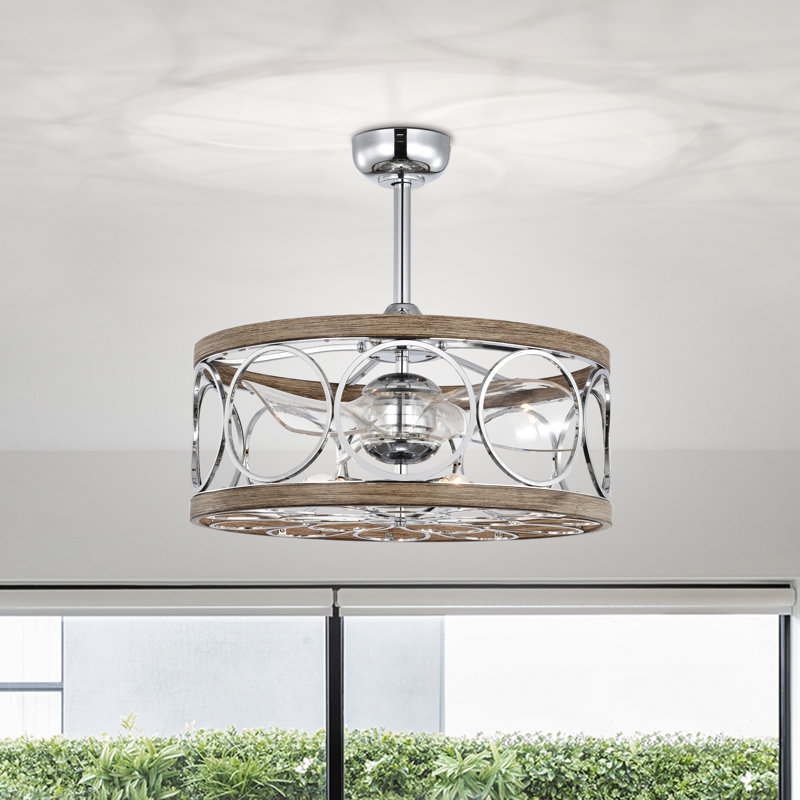 Demitz 3 - Blade Caged Ceiling Fan with Remote Control and Light Kit Included