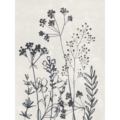 " Sketch Florals Black And Neutral 2 "
