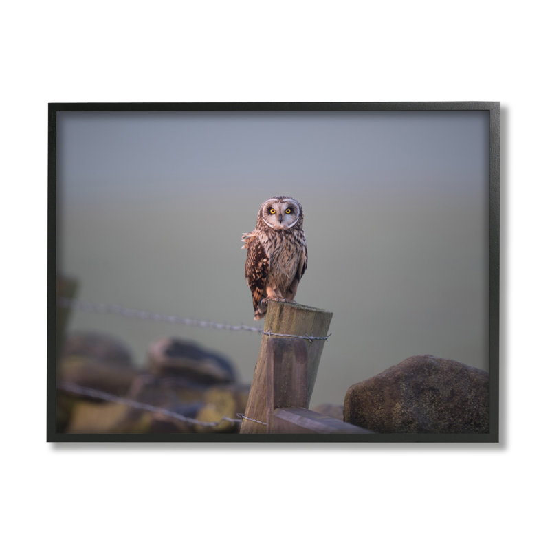 " Intensely Gazing Owl Perched Rural Fence Post ", Black, 11" H x 14" W x 1.5" D