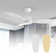 Emidia Standard Ceiling Fan with LED Lights Indoor