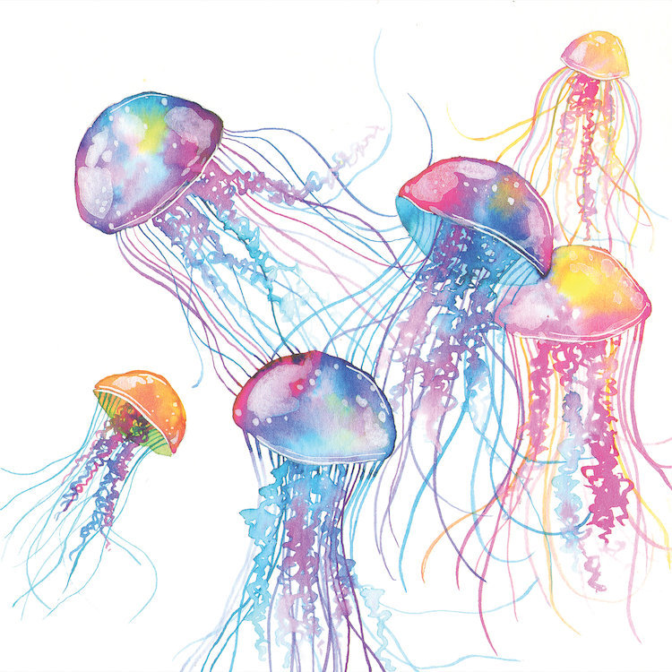 «Jellyfish», peinture sur toile tendue, H 12 po x l 12 po x P 1,5 po